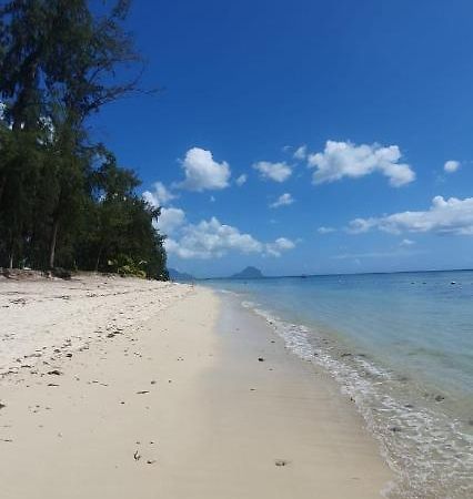 Coconut Bay Apartments Flic-en-Flacq المظهر الخارجي الصورة